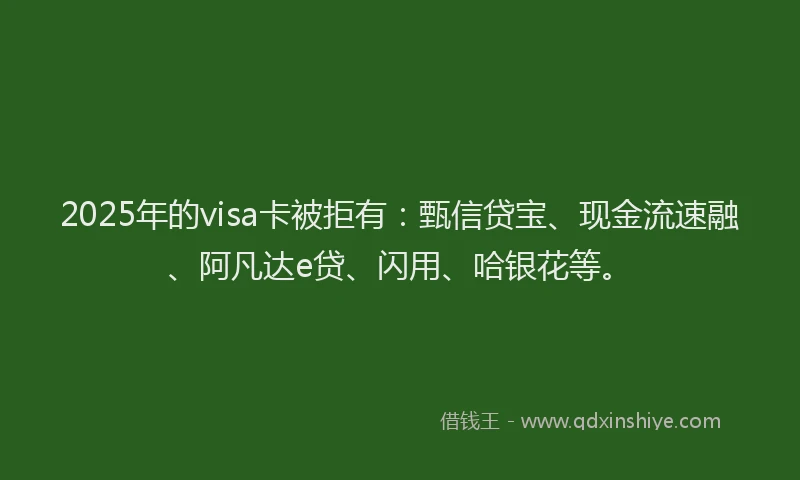 2025年的visa卡被拒有：甄信贷宝、现金流速融、阿凡达e贷、闪用、哈银花等。