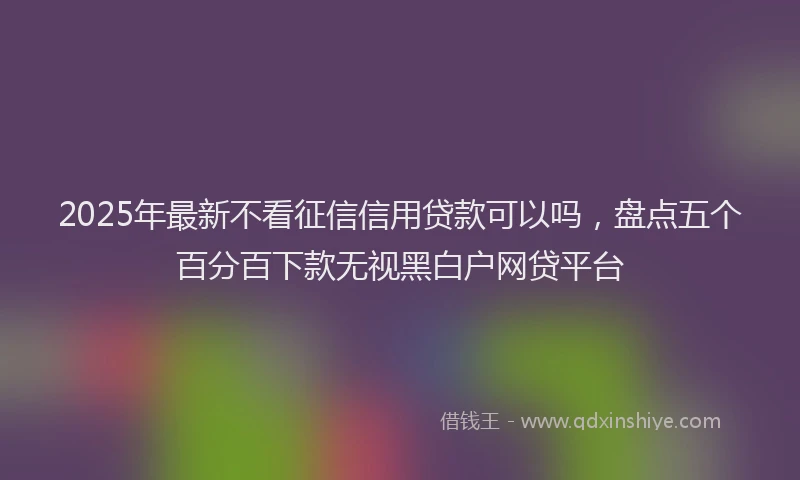 2025年最新不看征信信用贷款可以吗，盘点五个百分百下款无视黑白户网贷平台
