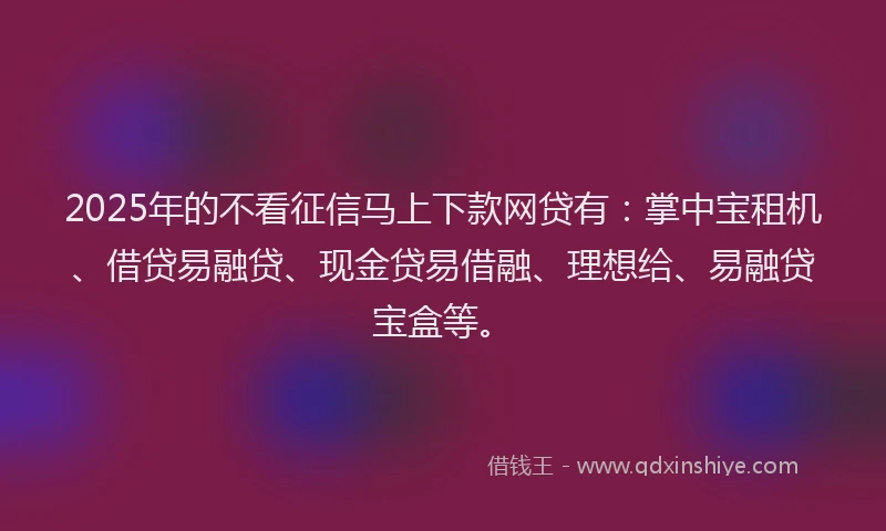 2025年的不看征信马上下款网贷有：掌中宝租机、借贷易融贷、现金贷易借融、理想给、易融贷宝盒等。