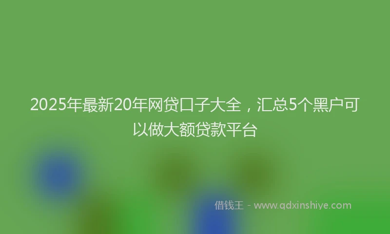 2025年最新20年网贷口子大全，汇总5个黑户可以做大额贷款平台