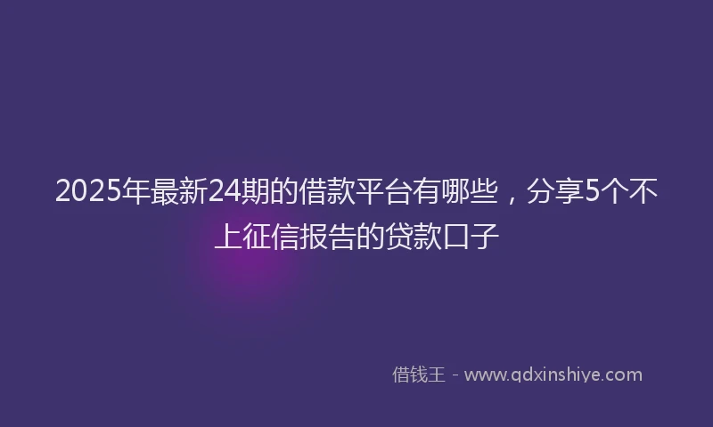 2025年最新24期的借款平台有哪些，分享5个不上征信报告的贷款口子