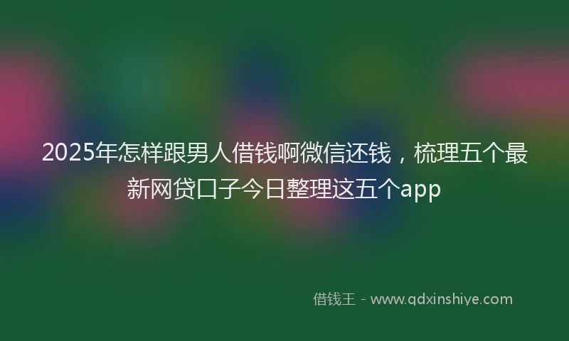 2025年怎样跟男人借钱啊微信还钱，梳理五个最新网贷口子今日整理这五个app
