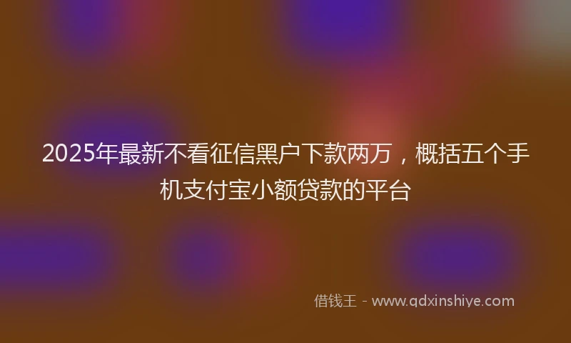 2025年最新不看征信黑户下款两万，概括五个手机支付宝小额贷款的平台