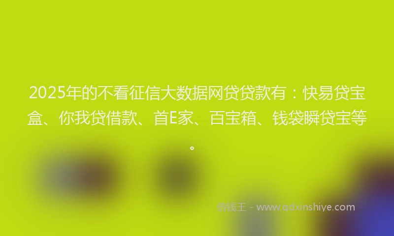 2025年的不看征信大数据网贷贷款有：快易贷宝盒、你我贷借款、首E家、百宝箱、钱袋瞬贷宝等。