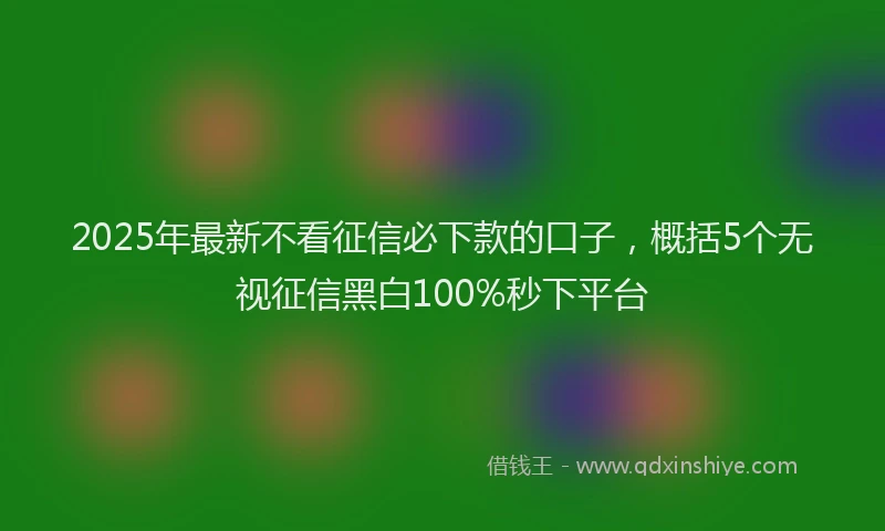 2025年最新不看征信必下款的口子，概括5个无视征信黑白100%秒下平台