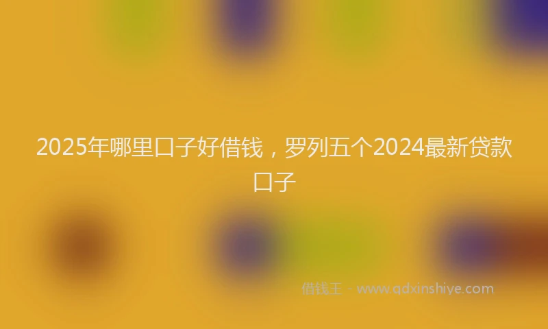2025年哪里口子好借钱，罗列五个2024最新贷款口子