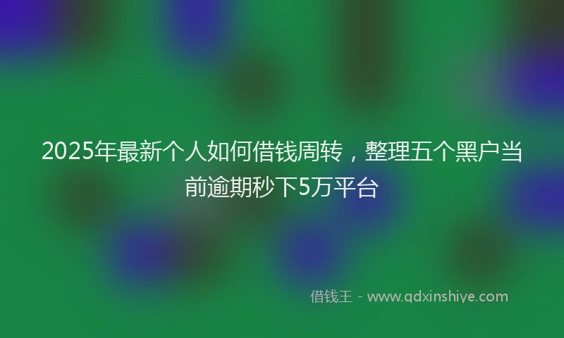 2025年最新个人如何借钱周转，整理五个黑户当前逾期秒下5万平台