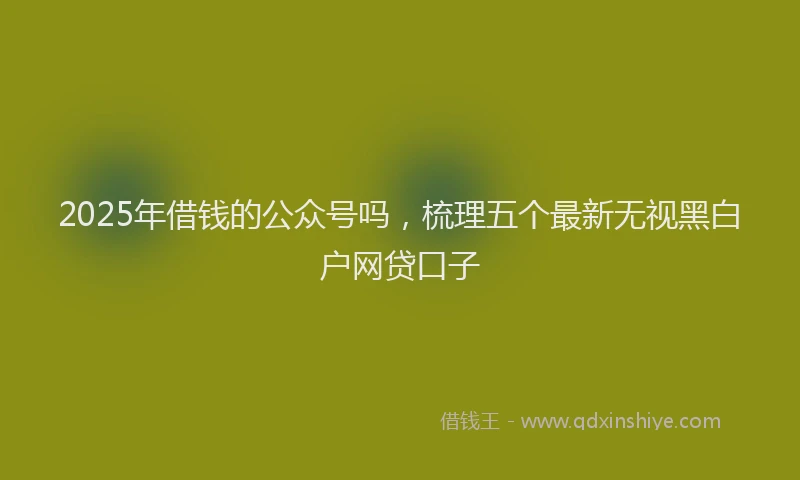 2025年借钱的公众号吗，梳理五个最新无视黑白户网贷口子