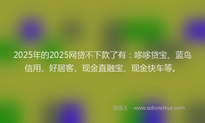 2025年的2025网贷不下款了有：哆哆贷宝、蓝鸟信用、好居客、现金直融宝、现金快车等。