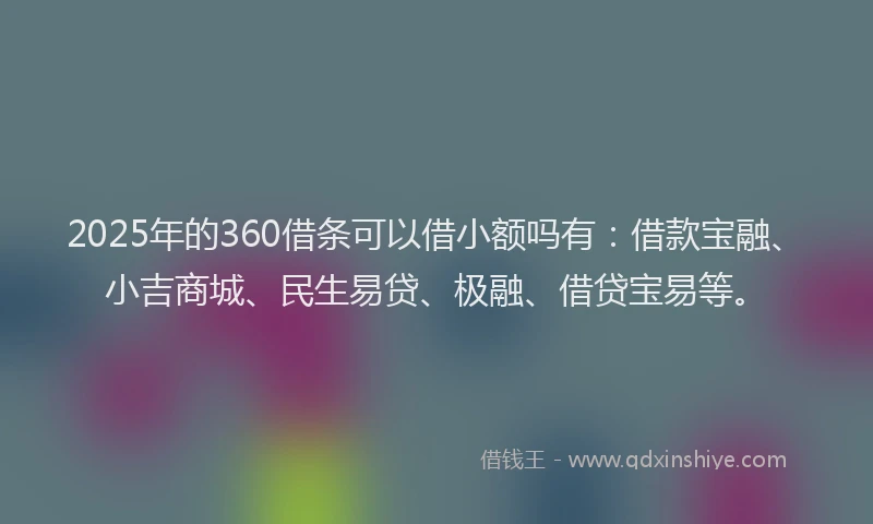 2025年的360借条可以借小额吗有：借款宝融、小吉商城、民生易贷、极融、借贷宝易等。