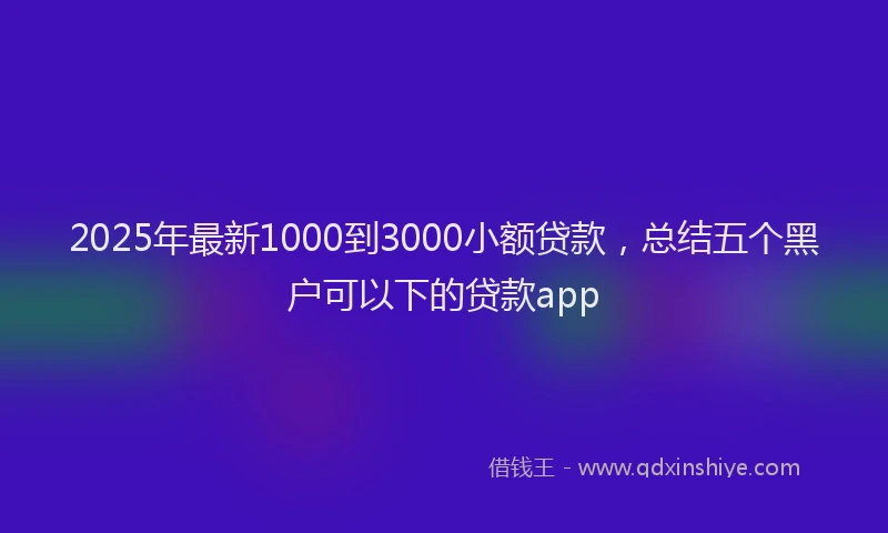 2025年最新1000到3000小额贷款，总结五个黑户可以下的贷款app