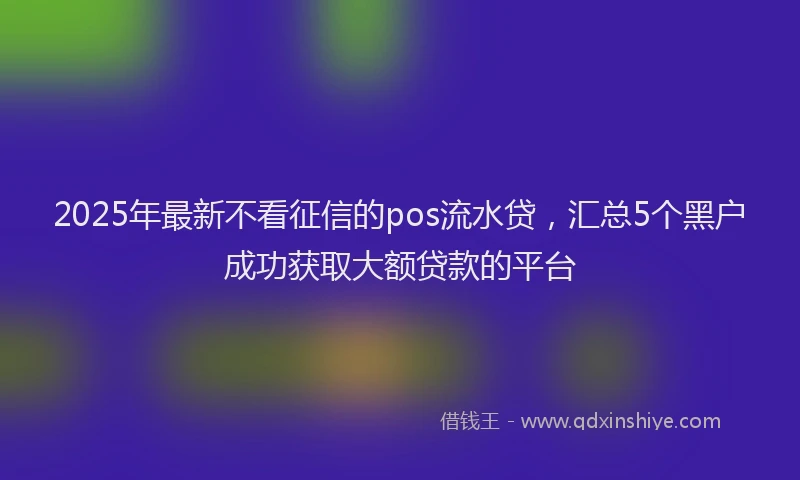 2025年最新不看征信的pos流水贷，汇总5个黑户成功获取大额贷款的平台