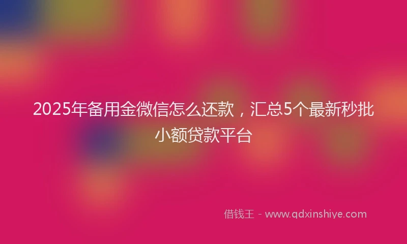 2025年备用金微信怎么还款，汇总5个最新秒批小额贷款平台