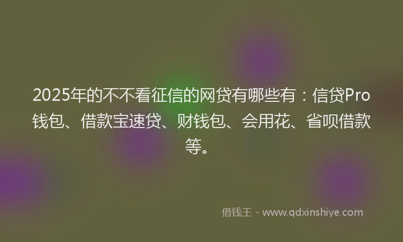2025年的不不看征信的网贷有哪些有：信贷Pro钱包、借款宝速贷、财钱包、会用花、省呗借款等。
