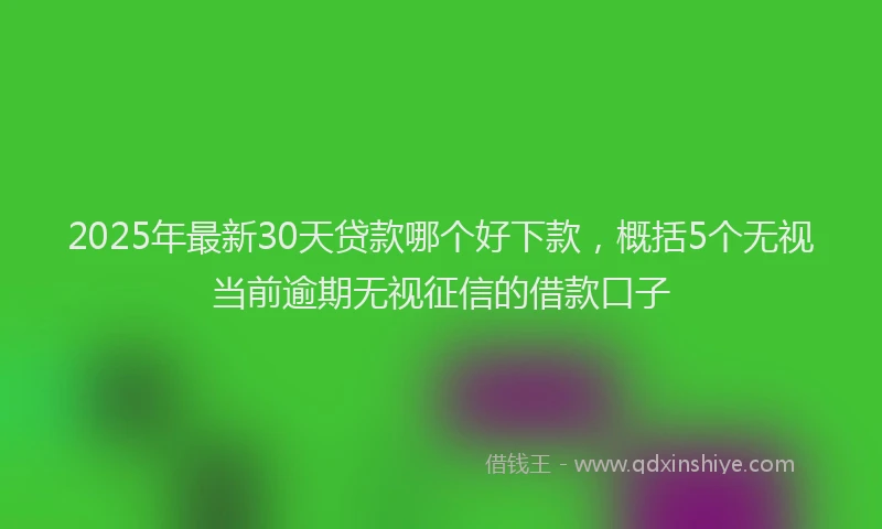 2025年最新30天贷款哪个好下款，概括5个无视当前逾期无视征信的借款口子