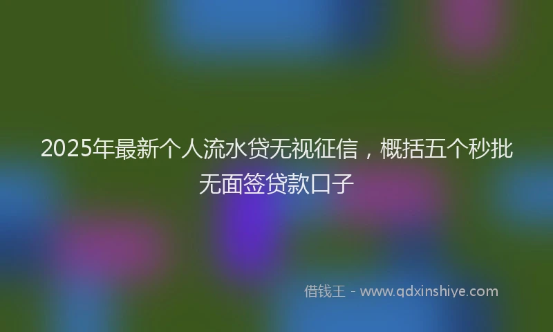 2025年最新个人流水贷无视征信，概括五个秒批无面签贷款口子