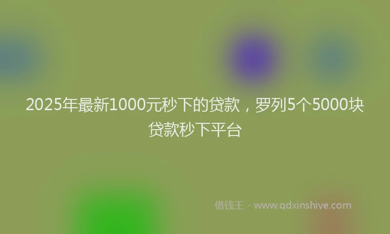 2025年最新1000元秒下的贷款，罗列5个5000块贷款秒下平台