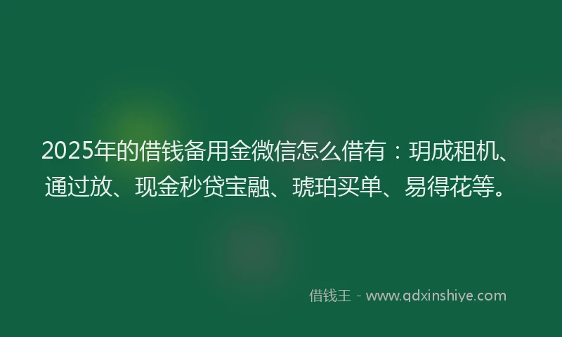 2025年的借钱备用金微信怎么借有：玥成租机、通过放、现金秒贷宝融、琥珀买单、易得花等。