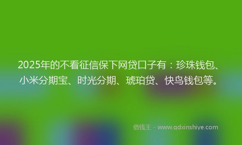 2025年的不看征信保下网贷口子有：珍珠钱包、小米分期宝、时光分期、琥珀贷、快鸟钱包等。