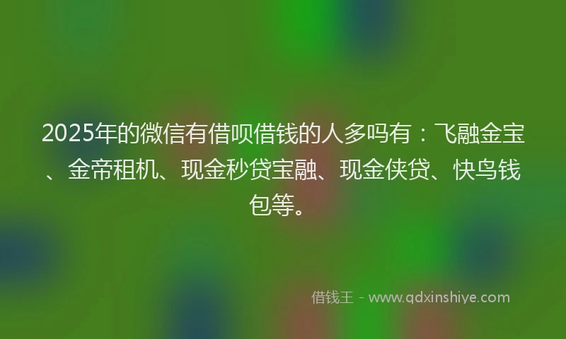 2025年的微信有借呗借钱的人多吗有：飞融金宝、金帝租机、现金秒贷宝融、现金侠贷、快鸟钱包等。