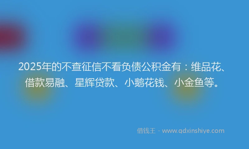 2025年的不查征信不看负债公积金有：维品花、借款易融、星辉贷款、小鹅花钱、小金鱼等。