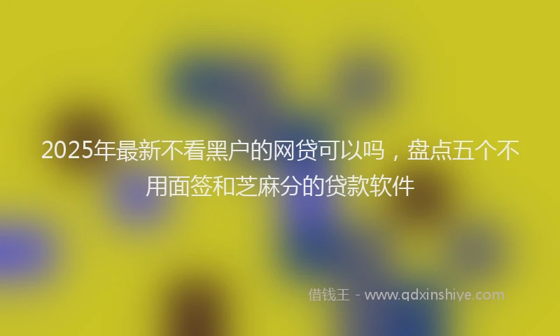 2025年最新不看黑户的网贷可以吗，盘点五个不用面签和芝麻分的贷款软件