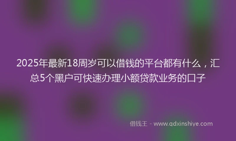 2025年最新18周岁可以借钱的平台都有什么，汇总5个黑户可快速办理小额贷款业务的口子