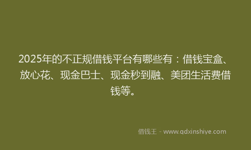 2025年的不正规借钱平台有哪些有：借钱宝盒、放心花、现金巴士、现金秒到融、美团生活费借钱等。