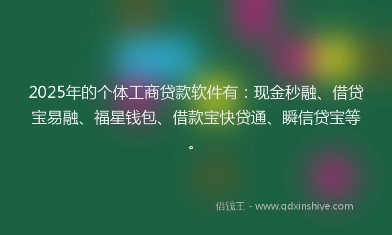 2025年的个体工商贷款软件有：现金秒融、借贷宝易融、福星钱包、借款宝快贷通、瞬信贷宝等。