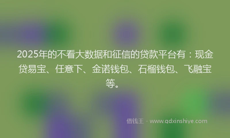 2025年的不看大数据和征信的贷款平台有：现金贷易宝、任意下、金诺钱包、石榴钱包、飞融宝等。