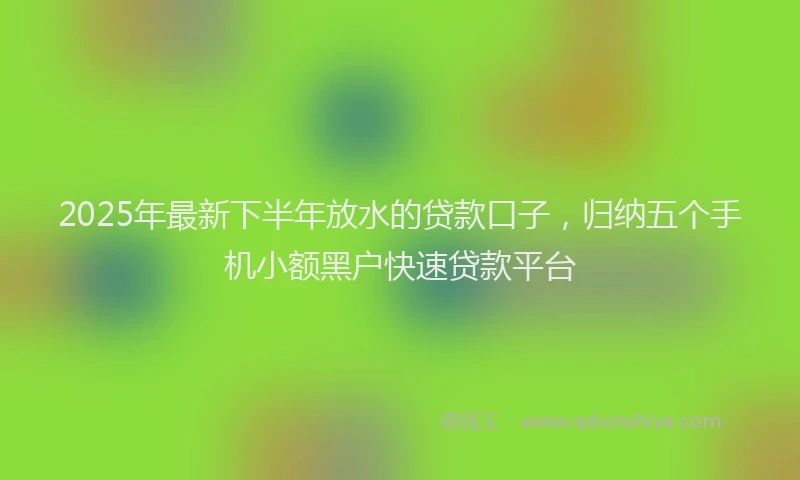 2025年最新下半年放水的贷款口子，归纳五个手机小额黑户快速贷款平台