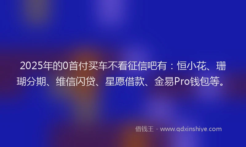 2025年的0首付买车不看征信吧有：恒小花、珊瑚分期、维信闪贷、星愿借款、金易Pro钱包等。