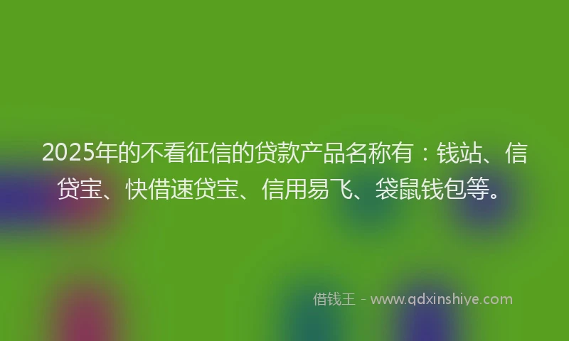 2025年的不看征信的贷款产品名称有：钱站、信贷宝、快借速贷宝、信用易飞、袋鼠钱包等。