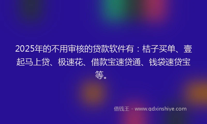 2025年的不用审核的贷款软件有：桔子买单、壹起马上贷、极速花、借款宝速贷通、钱袋速贷宝等。