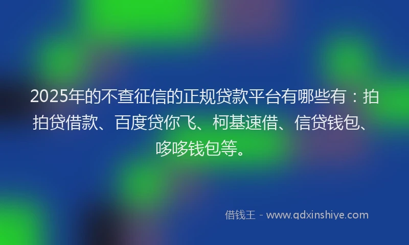 2025年的不查征信的正规贷款平台有哪些有：拍拍贷借款、百度贷你飞、柯基速借、信贷钱包、哆哆钱包等。