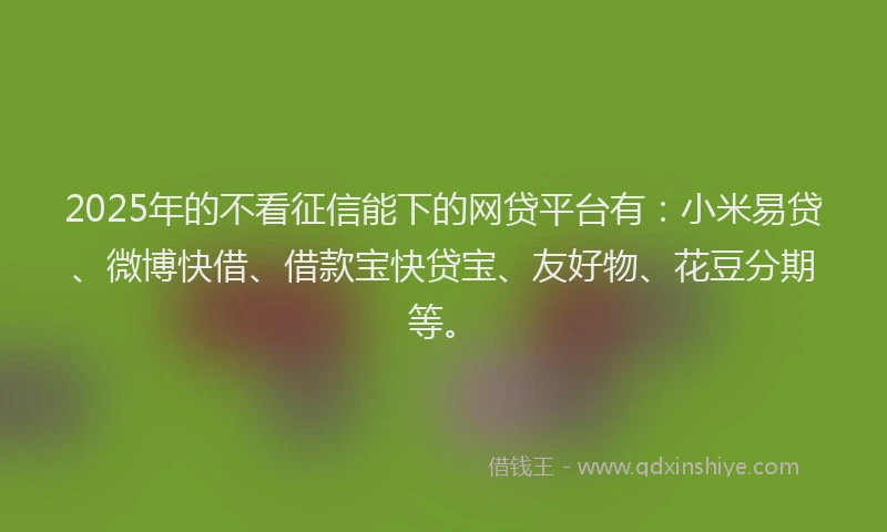2025年的不看征信能下的网贷平台有：小米易贷、微博快借、借款宝快贷宝、友好物、花豆分期等。