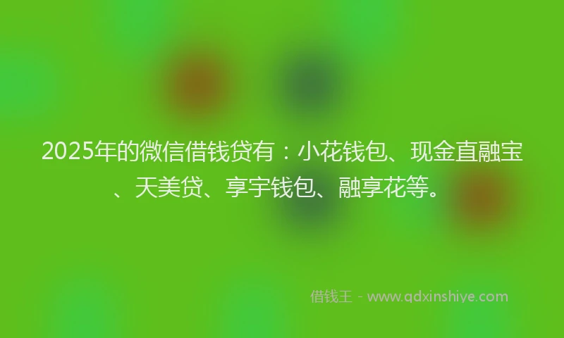 2025年的微信借钱贷有：小花钱包、现金直融宝、天美贷、享宇钱包、融享花等。