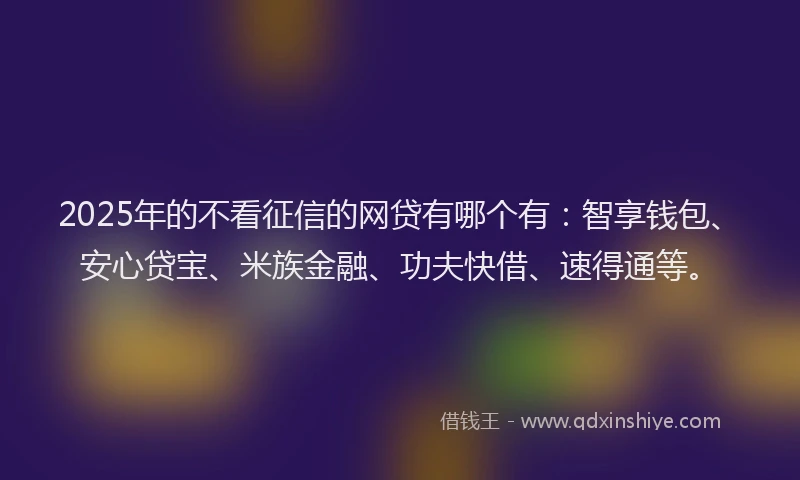2025年的不看征信的网贷有哪个有：智享钱包、安心贷宝、米族金融、功夫快借、速得通等。