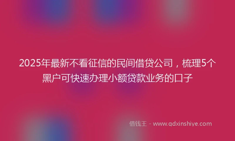 2025年最新不看征信的民间借贷公司，梳理5个黑户可快速办理小额贷款业务的口子