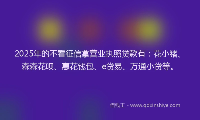 2025年的不看征信拿营业执照贷款有：花小猪、森森花呗、惠花钱包、e贷易、万通小贷等。