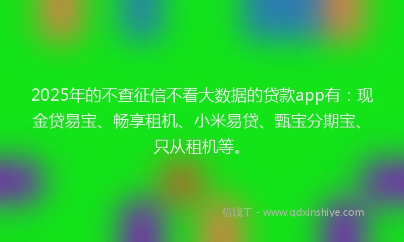 2025年的不查征信不看大数据的贷款app有：现金贷易宝、畅享租机、小米易贷、甄宝分期宝、只从租机等。