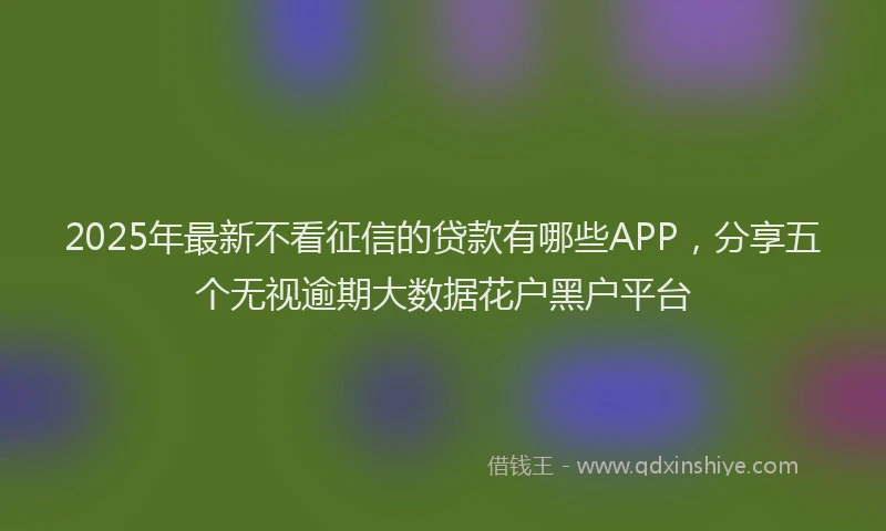 2025年最新不看征信的贷款有哪些APP，分享五个无视逾期大数据花户黑户平台