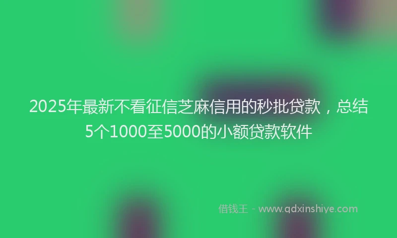 2025年最新不看征信芝麻信用的秒批贷款，总结5个1000至5000的小额贷款软件