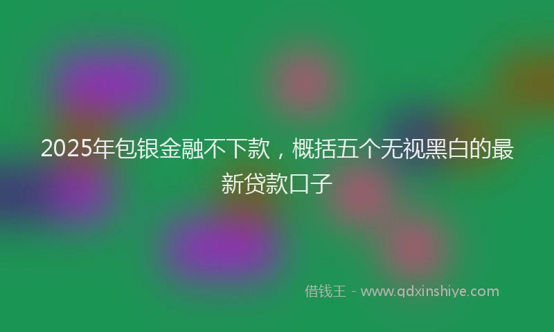 2025年包银金融不下款，概括五个无视黑白的最新贷款口子