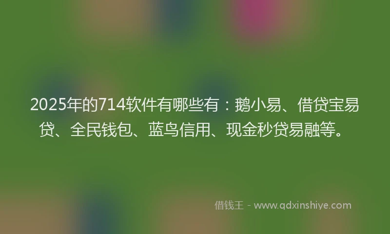 2025年的714软件有哪些有：鹅小易、借贷宝易贷、全民钱包、蓝鸟信用、现金秒贷易融等。