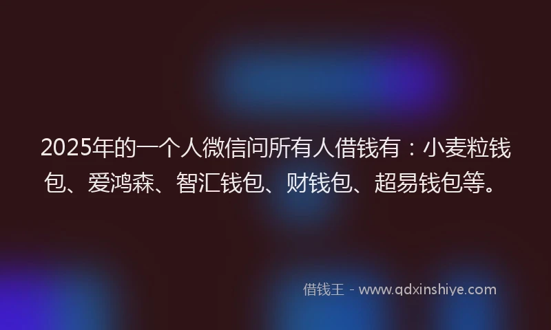 2025年的一个人微信问所有人借钱有：小麦粒钱包、爱鸿森、智汇钱包、财钱包、超易钱包等。
