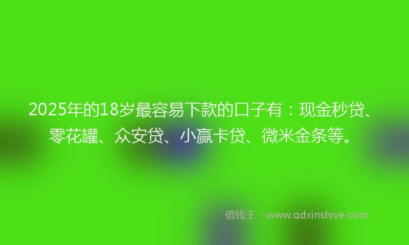 2025年的18岁最容易下款的口子有：现金秒贷、零花罐、众安贷、小赢卡贷、微米金条等。