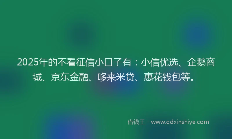 2025年的不看征信小口子有：小信优选、企鹅商城、京东金融、哆来米贷、惠花钱包等。