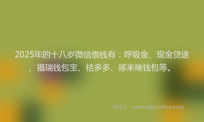 2025年的十八岁微信借钱有：呼吸金、现金贷途、福瑞钱包宝、桔多多、哆来咪钱包等。