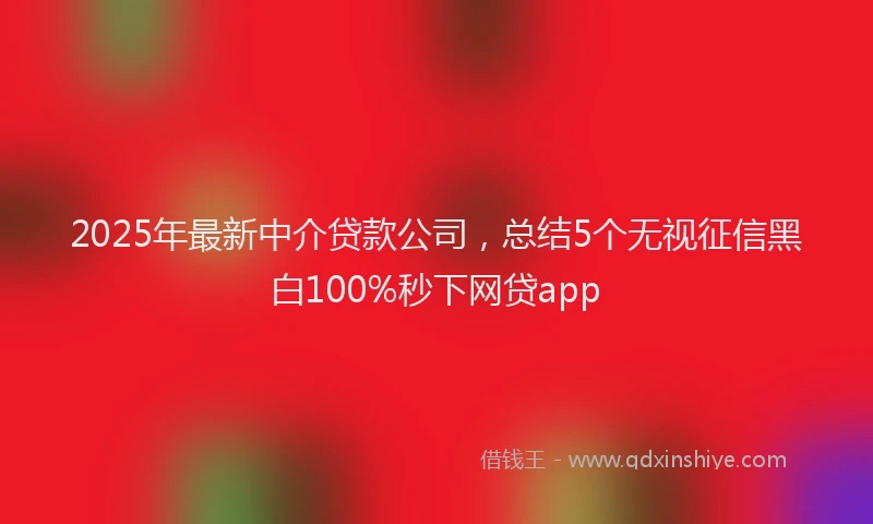 2025年最新中介贷款公司，总结5个无视征信黑白100%秒下网贷app